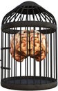 Human Brain, Bird Cage, Isolated