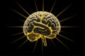 Human brain on black background, golden rays around the human brain, glow, lines, sparks, side view. Concept of thought process Royalty Free Stock Photo