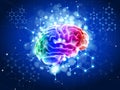 Human brain on a blue technological background Royalty Free Stock Photo