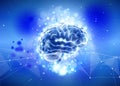 Human brain on a blue technological background Royalty Free Stock Photo