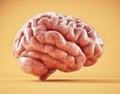 Human brain. Brainstorming and creative concept. Mental capacity, cognitive processing, and neural complexity