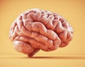 Human brain. Brainstorming and creative concept. Mental capacity, cognitive processing, and neural complexity Royalty Free Stock Photo