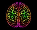 Human Brain. Bright Colors Black Background. Cerebral Hemispheres, Convolutions Of The Mind, Brain`s Bends. View From Above