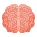 Human brain cerebellum icon, cartoon style Royalty Free Stock Photo