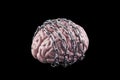 Human brain with chain over black background. Free your mind concept