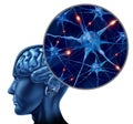 Human brain with close up of active neurons Royalty Free Stock Photo