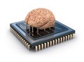 Human brain and computer chip Royalty Free Stock Photo