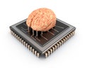 Human brain and computer chip Royalty Free Stock Photo