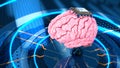 Human brain with computer processor.