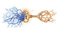 Human Brain Connected to Golden Key Art, vector design Generative AI Royalty Free Stock Photo