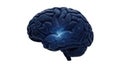Human brain with cosmic elements Royalty Free Stock Photo
