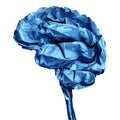 Human Brain Crumpled Paper Object