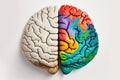 Human brain divided on two part, created with Generative AI technology Royalty Free Stock Photo