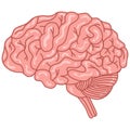 Human Brain Doodle Art Drawing Vector Illustration Royalty Free Stock Photo
