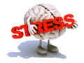 Human brain that embraces word stress