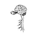 Human brain with eyes, visual organs and central nervous system, black ink lines