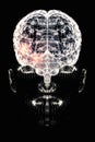 Human brain and face viewed from the front. X-rays, particles. Degenerative disease, synapses and neurons Royalty Free Stock Photo
