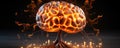 Human brain in fire Royalty Free Stock Photo