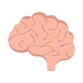 Human brain flat icon. Cartoon design. Vector illustration Royalty Free Stock Photo