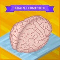 Human brain flat isometric icon