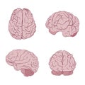 Human brain four views. Top, frontal, side, three-quarter. Flat brains vector icons