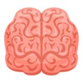 Human brain front icon, cartoon style