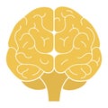 Human brain front view. Vector illustration. Flat design
