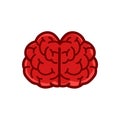 Human brain frontview illustration