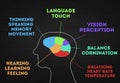 Human Brain Functions and parts . Infographic of man Mind Function. Man Head Silhouette with Colorful Graph part of cerebellum