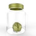 Human brain in a glass jar 3d rendering Royalty Free Stock Photo