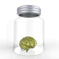 Human brain in a glass jar 3d rendering Royalty Free Stock Photo