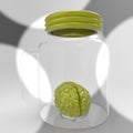 Human brain in a glass jar 3d rendering Royalty Free Stock Photo