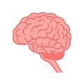 Human brain graphic illustration. Flat vector isolated