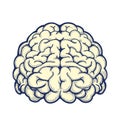 Human brain hand drawn icon