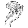 Human brain in hand sketch engraving vector Royalty Free Stock Photo