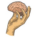 Human brain in hand sketch vector illustration Royalty Free Stock Photo