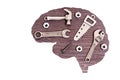Human Brain and Hand Tools Flat-lay