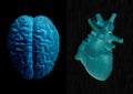 Human brain and heart, Medical, educational, anatomy and emotion feeling and mind concept