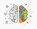 Creative and business ideas concept of human brain