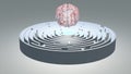 Human Brain Hovers above Circular Maze