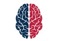 Human brain icon colored isolated vector image