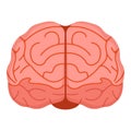 Human brain icon, concept cartoon vector illustration, isolated on white, healthy mental lifestyle stable