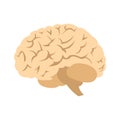 Human brain icon Royalty Free Stock Photo