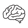 Human brain icon on white background