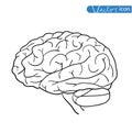 Human brain icon, vector illustration