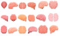 Human brain icons set, cartoon style