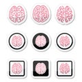 Human brain icons set - intelligence, creativity concept