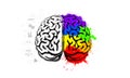 Human brain illustration for depicting creativity and logic concept