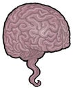 Human brain illustration