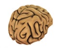 Human brain illustration Royalty Free Stock Photo